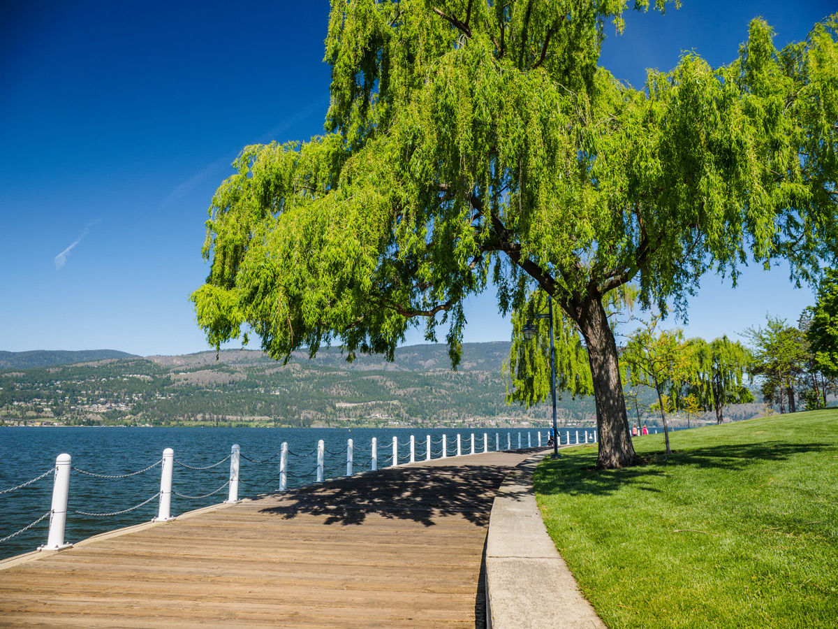 Located just a short drive away from Comfort Suites Kelowna hotel is the boardwalk at Waterfront Park.