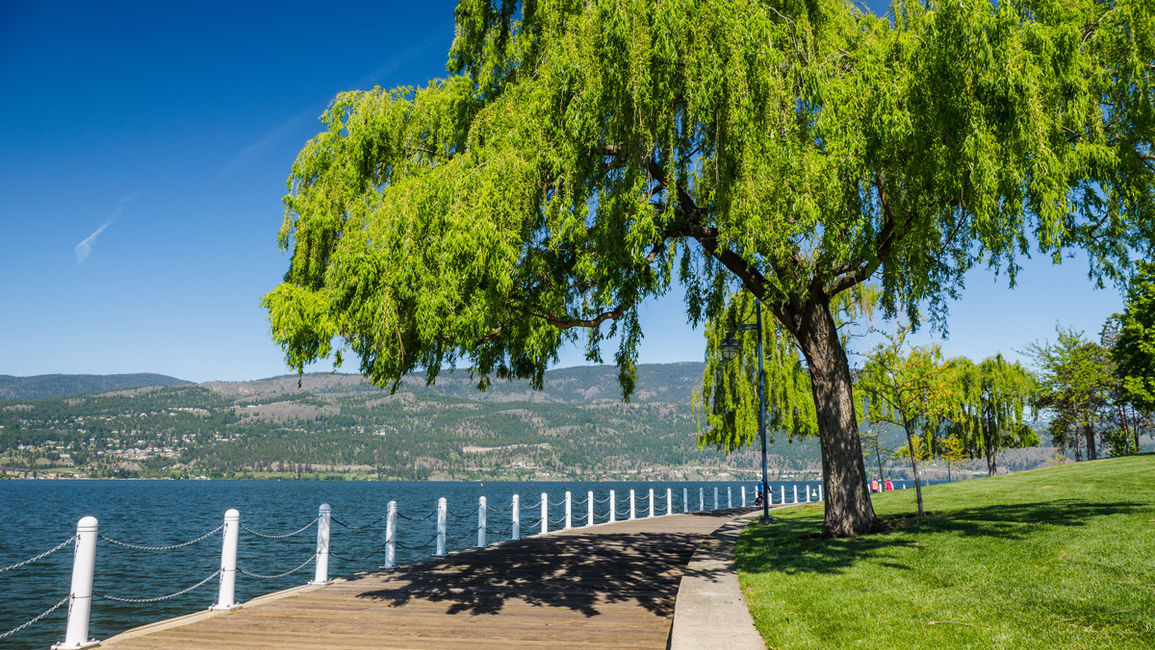 Kelowna Hotel Vacation Guide: Ways to Enjoy Okanagan Lake